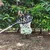 Hectare Universal Lightweight Fruit Picker with 4 Replaceable Sharp Blade (Without Pole)